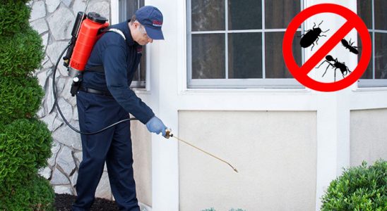 Türkeli Böcek İlaçlama böcek ilaçlama ve haşere kontrolü — ilaclama-tr.com